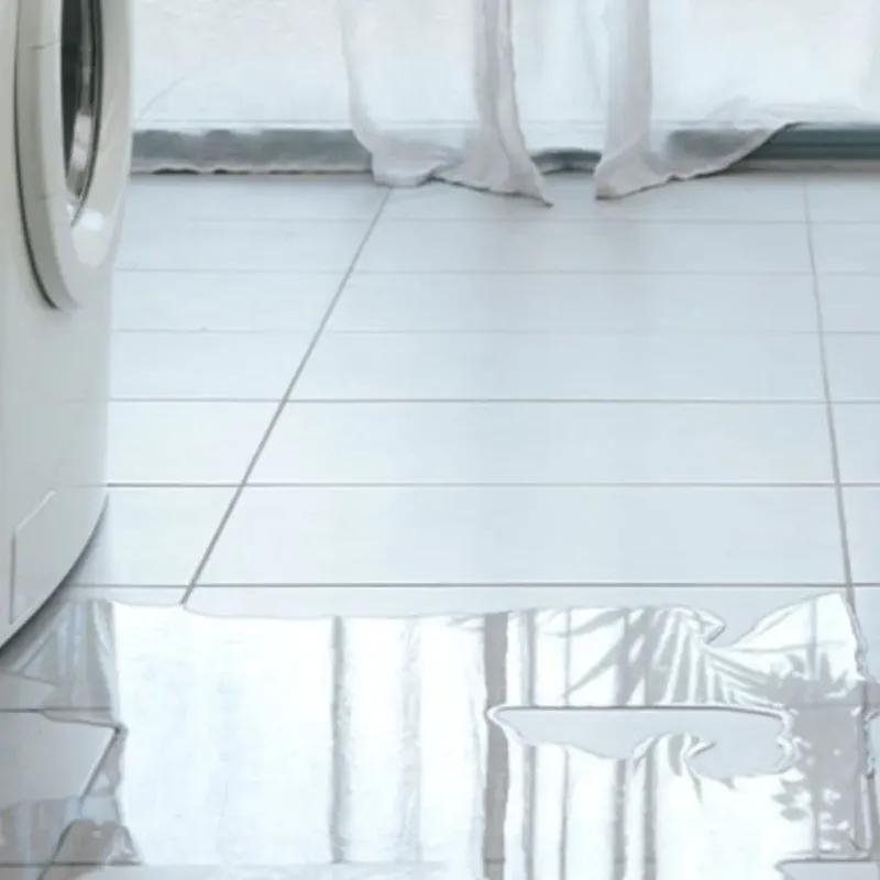 Appliance Leak Cleanup in Oak Hill, FL