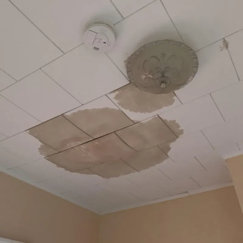 Ceiling Water Damage Repair in Oak Hill, FL