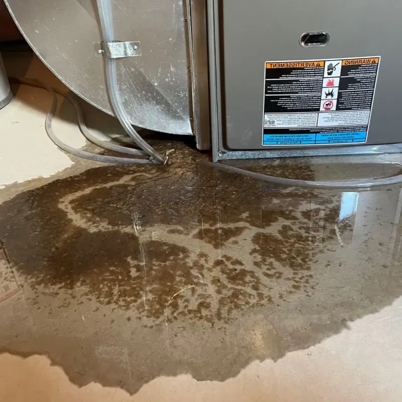 Pipe Burst and Leak Restoration in Oak Hill, FL