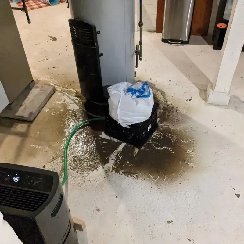 Sewage Backup Cleanup Service in Oak Hill, FL